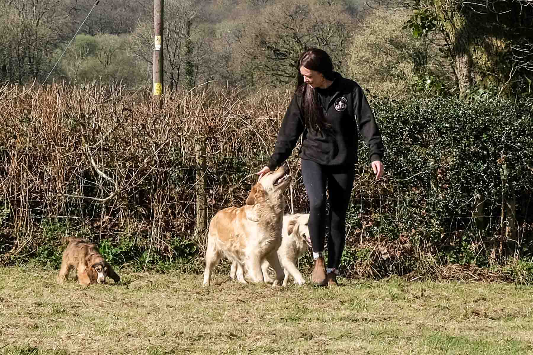 kennels-11