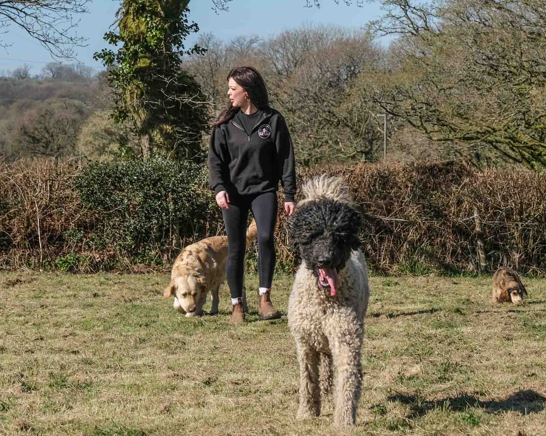 kennels-13